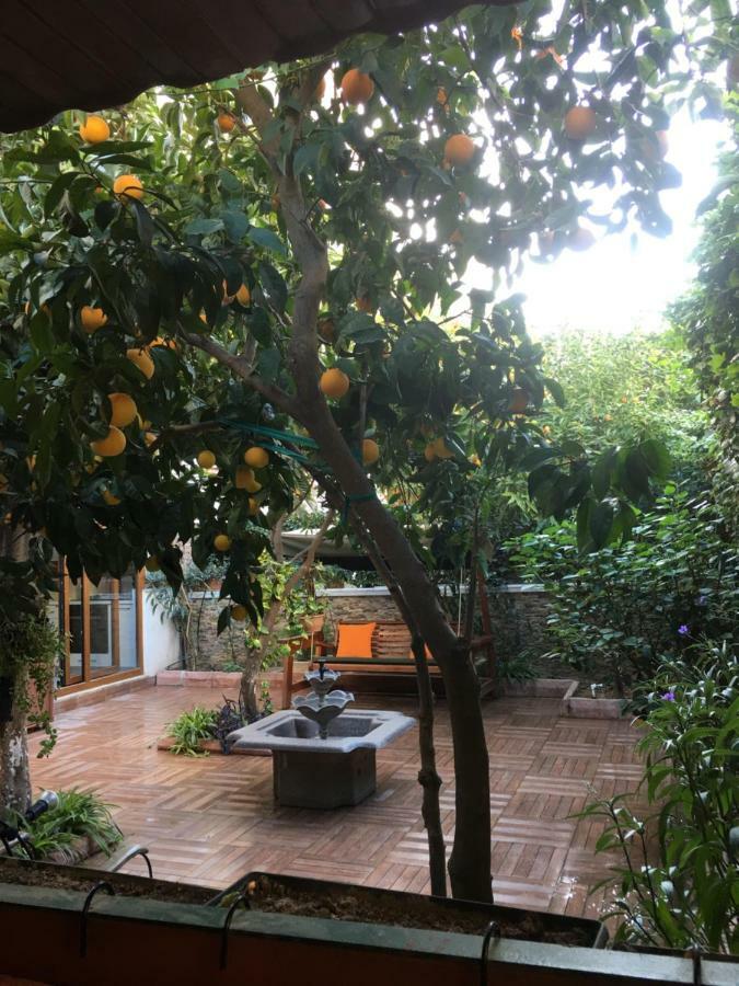 Orange Garden Appartement Antalya Buitenkant foto